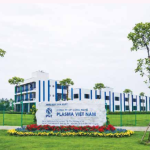 PlasmaMed – Công nghệ Plasma lạnh hỗ trợ điều trị vết thương: THÔNG ĐIỆP CHÀO NĂM MỚI
